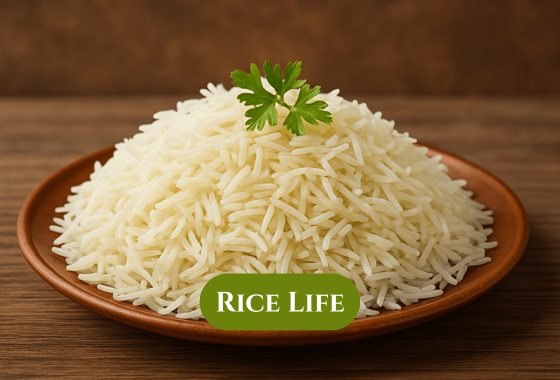 Home 1 Rice